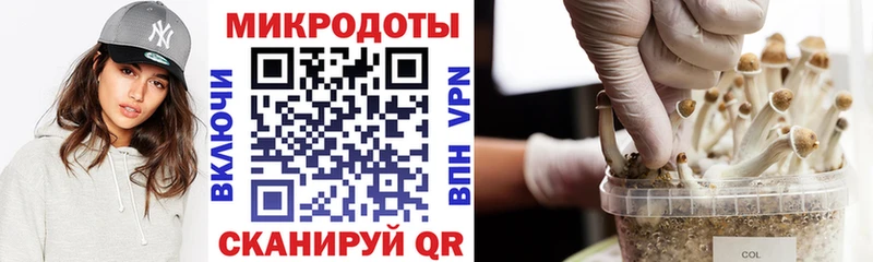 наркотики  Тихорецк  Галлюциногенные грибы Magic Shrooms 