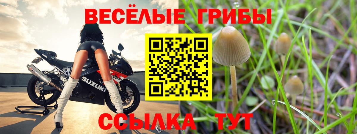 Галлюциногенные грибы прущие грибы  Псилоцибиновые грибы ЛСД  Вход с VPN  Тихорецк 